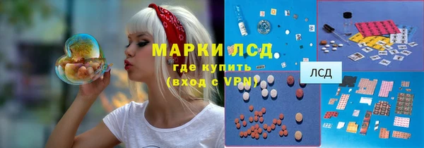 ПСИЛОЦИБИНОВЫЕ ГРИБЫ Алексин